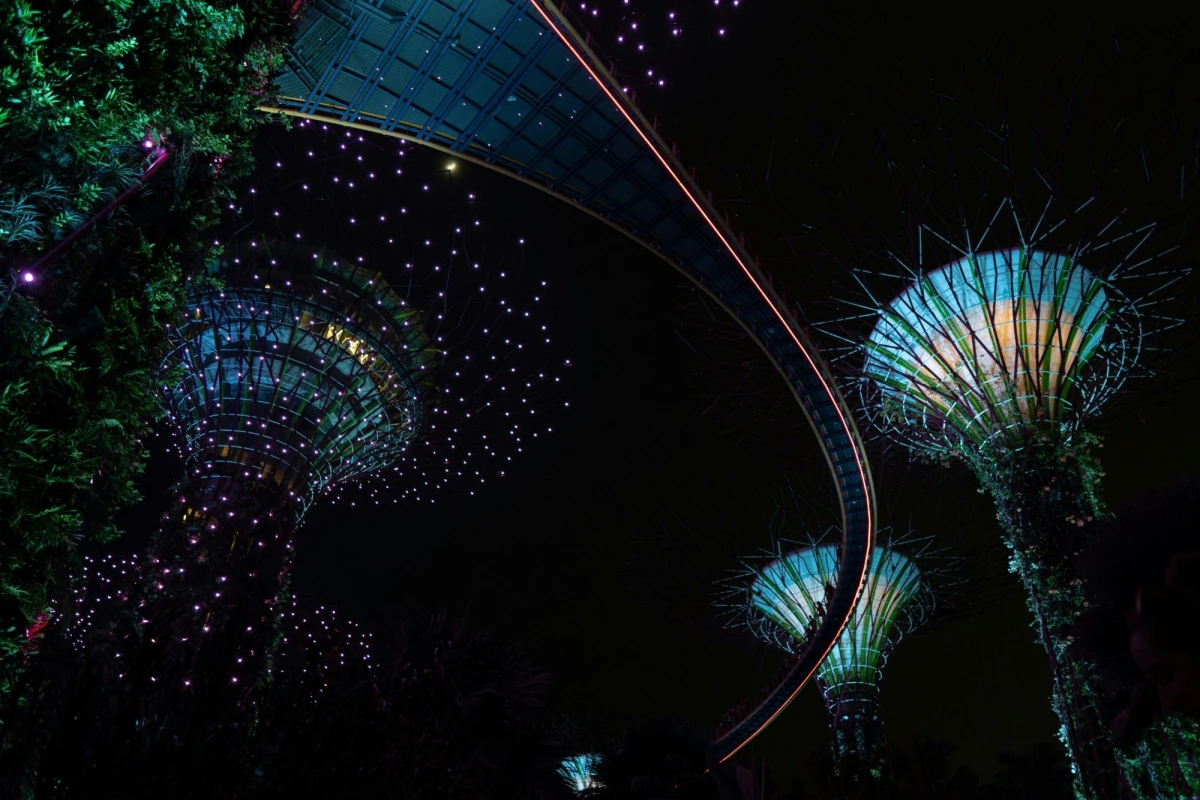 The Supertrees and the OCBC Skyway at Gardens by the Bay, lit up at night